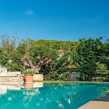 Amor Villa Laganász